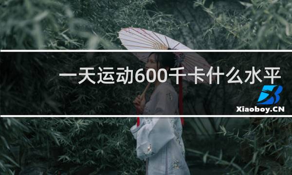 一天运动600千卡什么水平