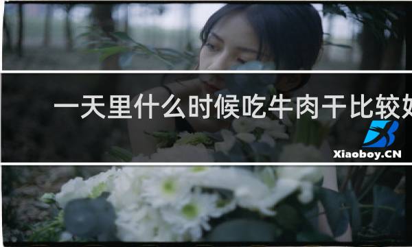 一天里什么时候吃牛肉干比较好