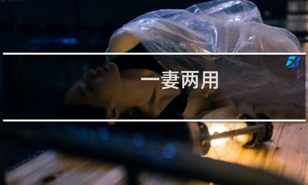 一妻两用 独宠枕边妻