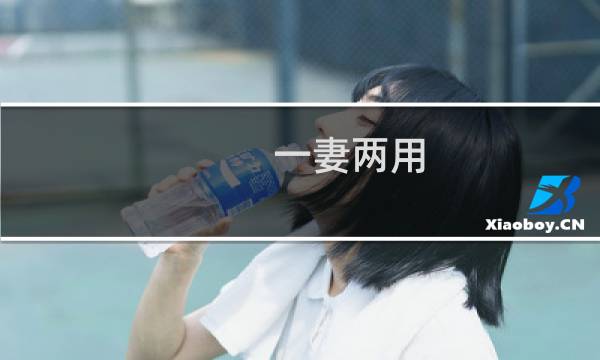 一妻两用  独宠枕边妻图片