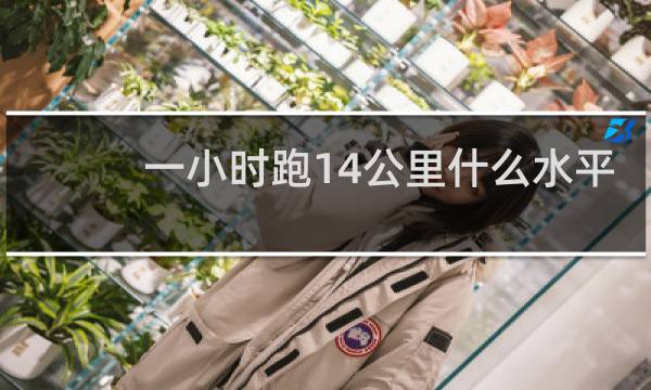 一小时跑14公里什么水平