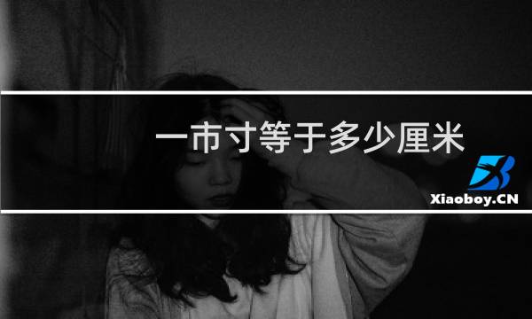 一市寸等于多少厘米