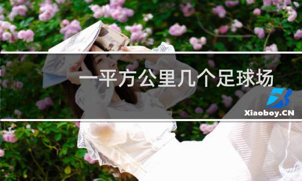一平方公里几个足球场