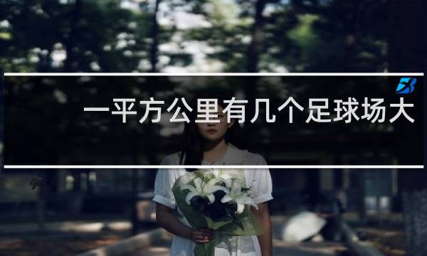 一平方公里有几个足球场大