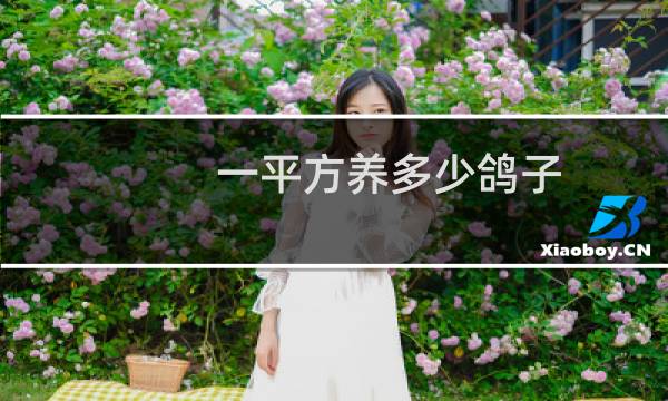 一平方养多少鸽子