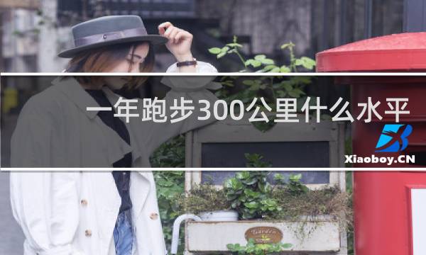 一年跑步300公里什么水平