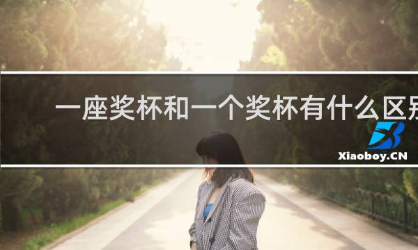 一座奖杯和一个奖杯有什么区别
