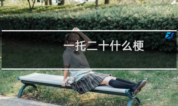 一托二十什么梗