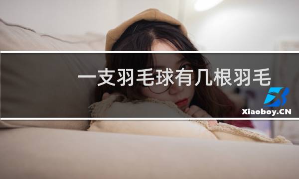 一支羽毛球有几根羽毛