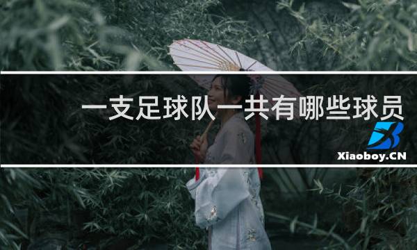 一支足球队一共有哪些球员