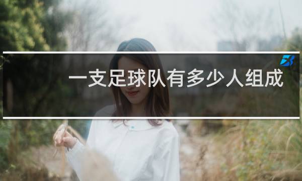一支足球队有多少人组成