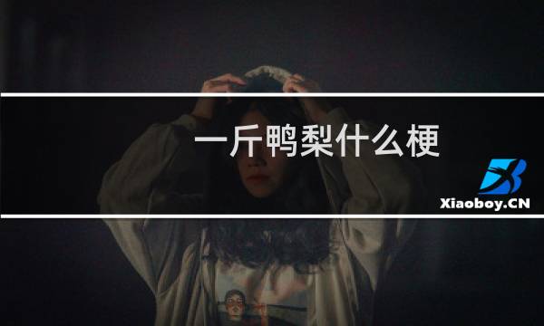 一斤鸭梨什么梗