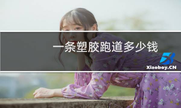 一条塑胶跑道多少钱