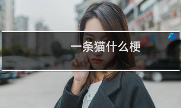 一条猫什么梗