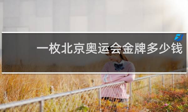 一枚北京奥运会金牌多少钱