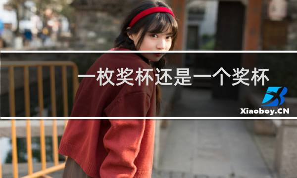 一枚奖杯还是一个奖杯