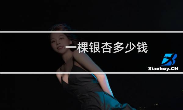一棵银杏多少钱