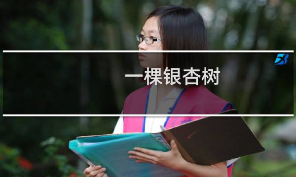 一棵银杏树