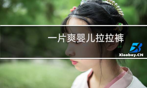 一片爽婴儿拉拉裤（一片爽）图片