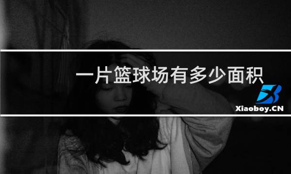 一片篮球场有多少面积