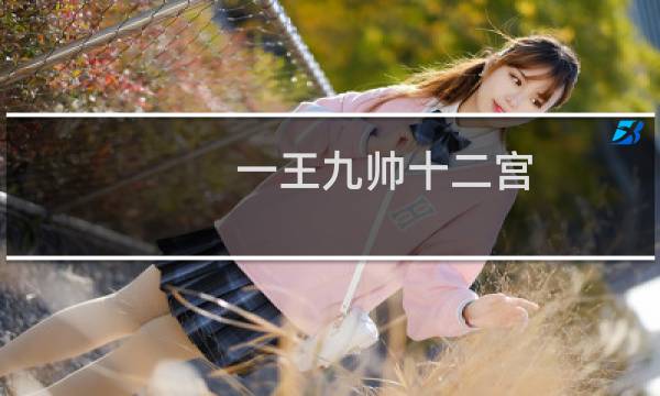 一王九帅十二宫（一王九帅十二宫txt）图片