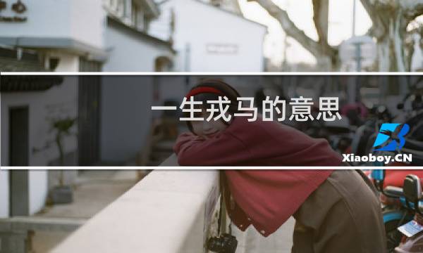 一生戎马的意思（戎马一生，剑指天涯这两个词意味相同吗）图片