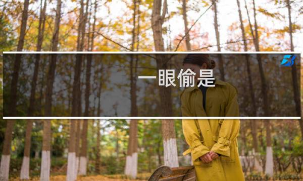 一眼偷是 一眼就看出来是偷的什么梗
