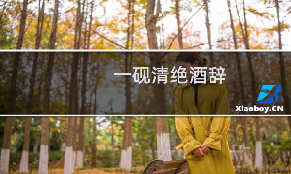 一砚清绝酒辞