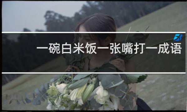 一碗白米饭一张嘴打一成语