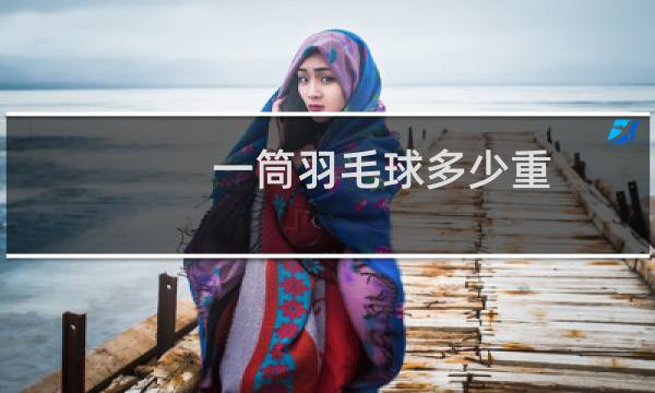 一筒羽毛球多少重
