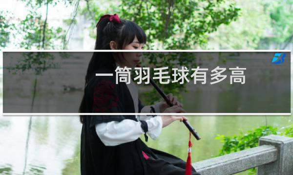 一筒羽毛球有多高