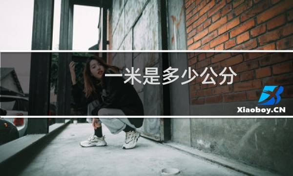 一米是多少公分
