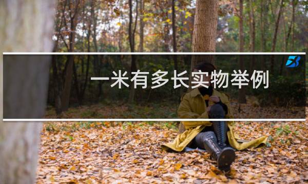 一米有多长实物举例