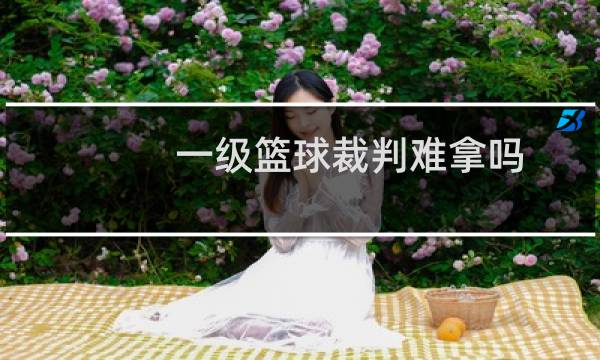 一级篮球裁判难拿吗