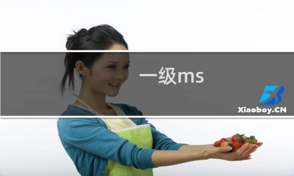 一级ms office考试操作题(一级ms office)