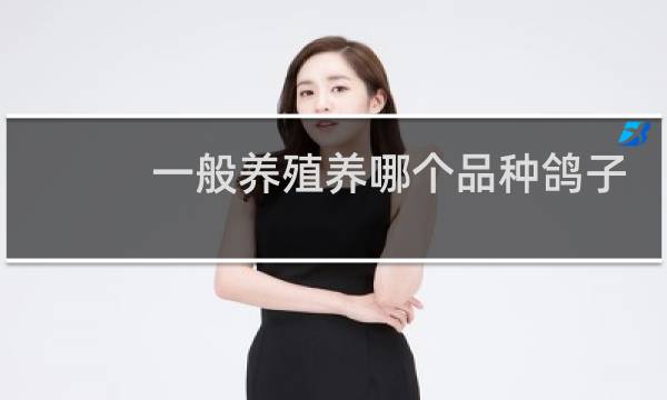 一般养殖养哪个品种鸽子好
