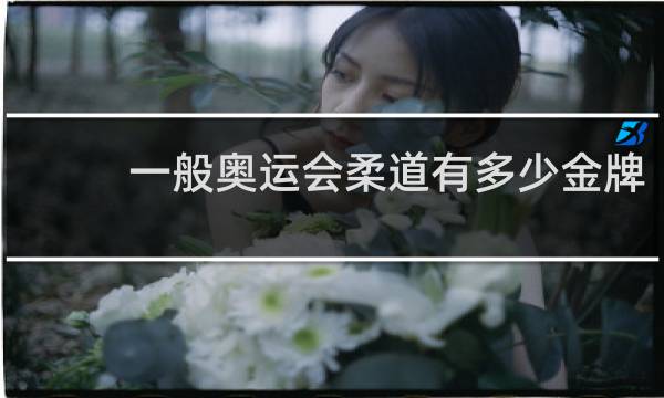 一般奥运会柔道有多少金牌