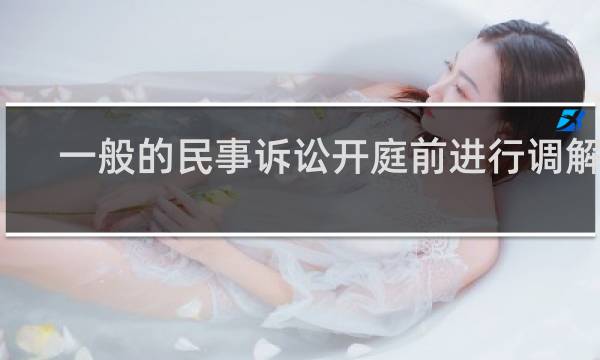一般的民事诉讼开庭前进行调解吗