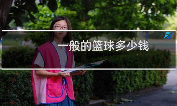 一般的篮球多少钱