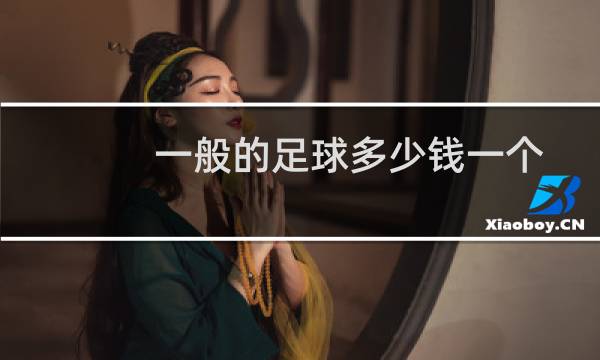一般的足球多少钱一个