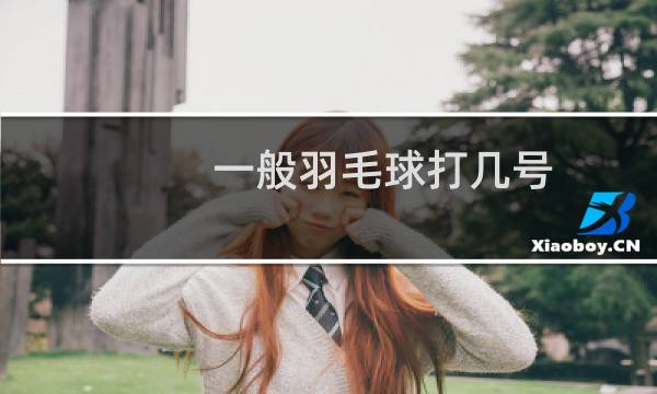 一般羽毛球打几号