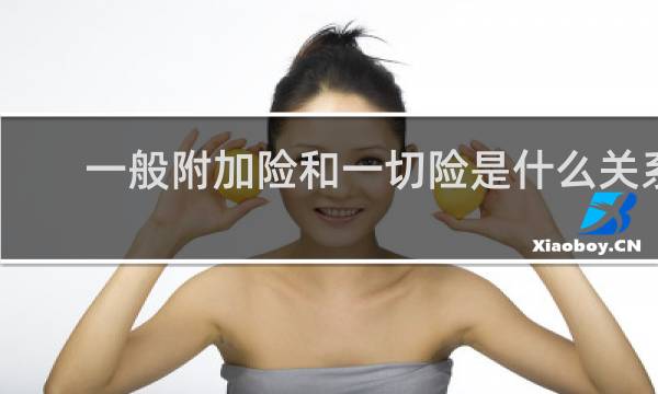 一般附加险和一切险是什么关系图片