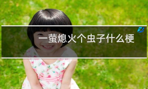 一萤熄火个虫子什么梗