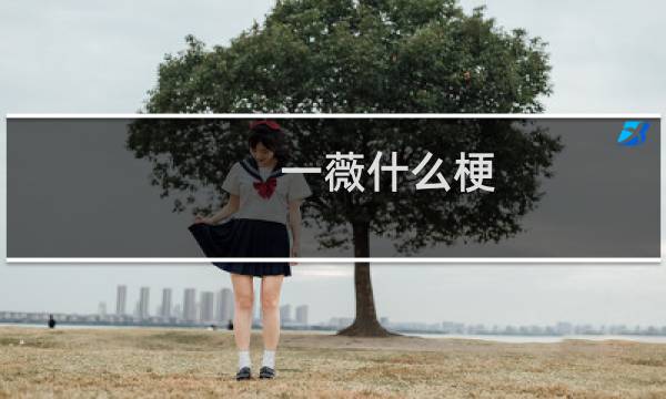 一薇什么梗