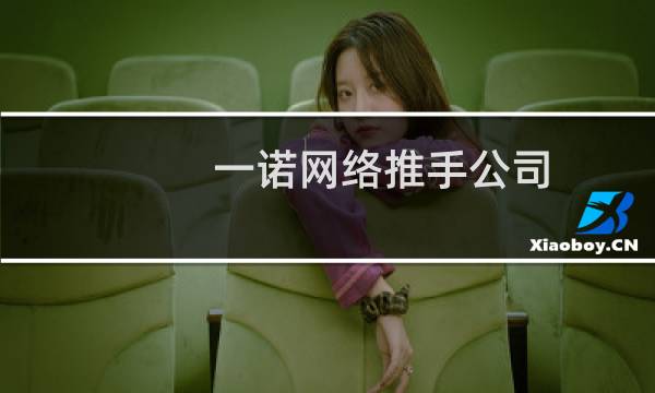 一诺网络推手公司