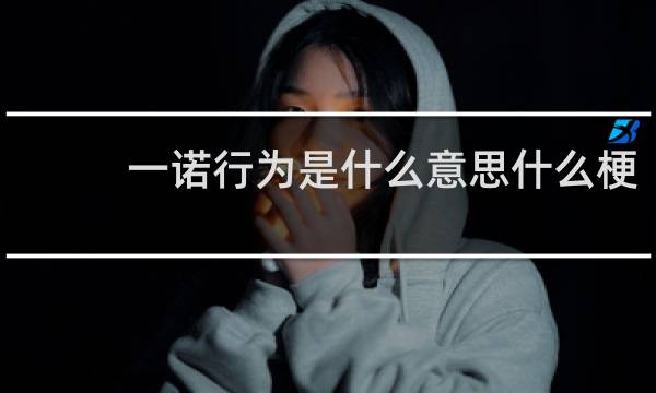 一诺行为是什么意思什么梗