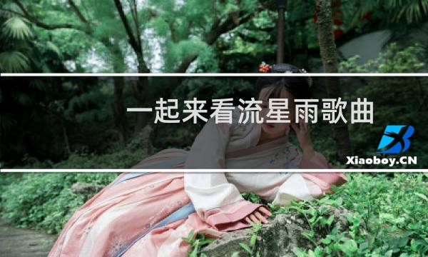 一起来看流星雨歌曲