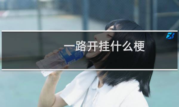 一路开挂什么梗