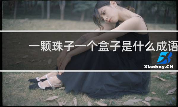 一颗珠子一个盒子是什么成语