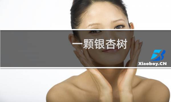 一颗银杏树